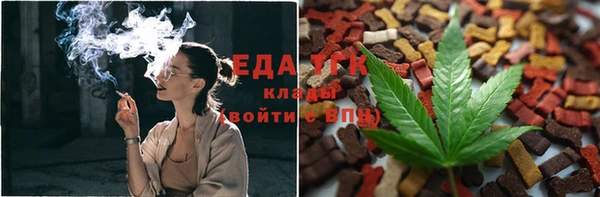 амф Гусев