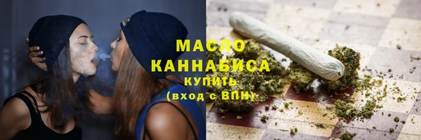 амф Гусев