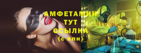 амф Гусев