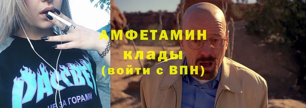 амф Гусев