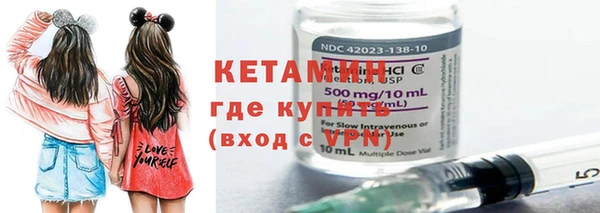 амф Гусев