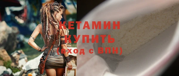 шишки Гусь-Хрустальный