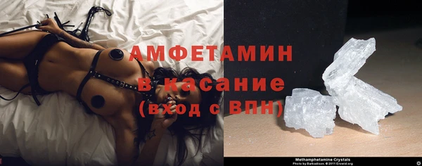 шишки Гусь-Хрустальный