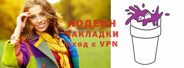 амф Гусев