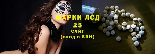 амф Гусев