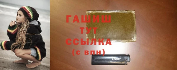шишки Гусь-Хрустальный