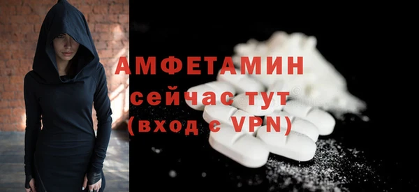 шишки Гусь-Хрустальный