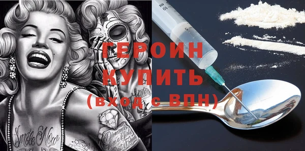 амф Гусев