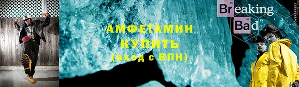 шишки Гусь-Хрустальный