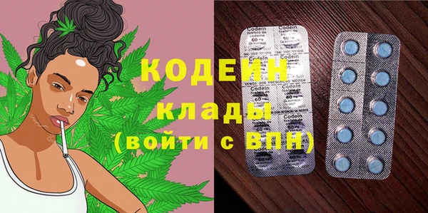 амф Гусев