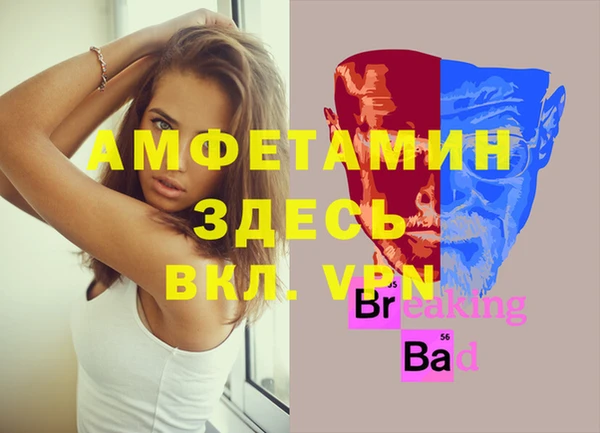 амф Гусев