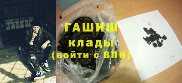 амф Гусев