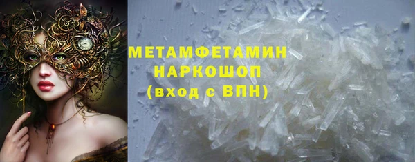 шишки Гусь-Хрустальный